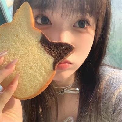 四光猪现蠢记